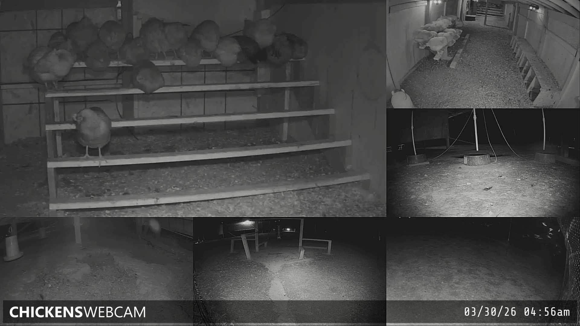 Twitch Stream Preview