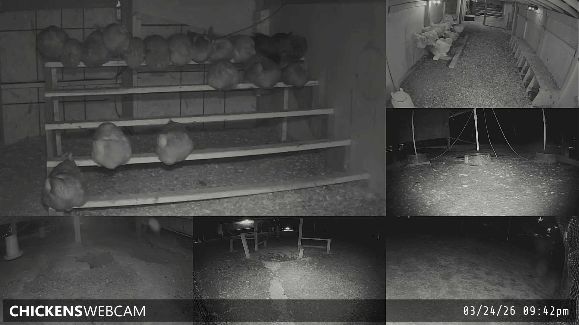 Twitch Stream Preview