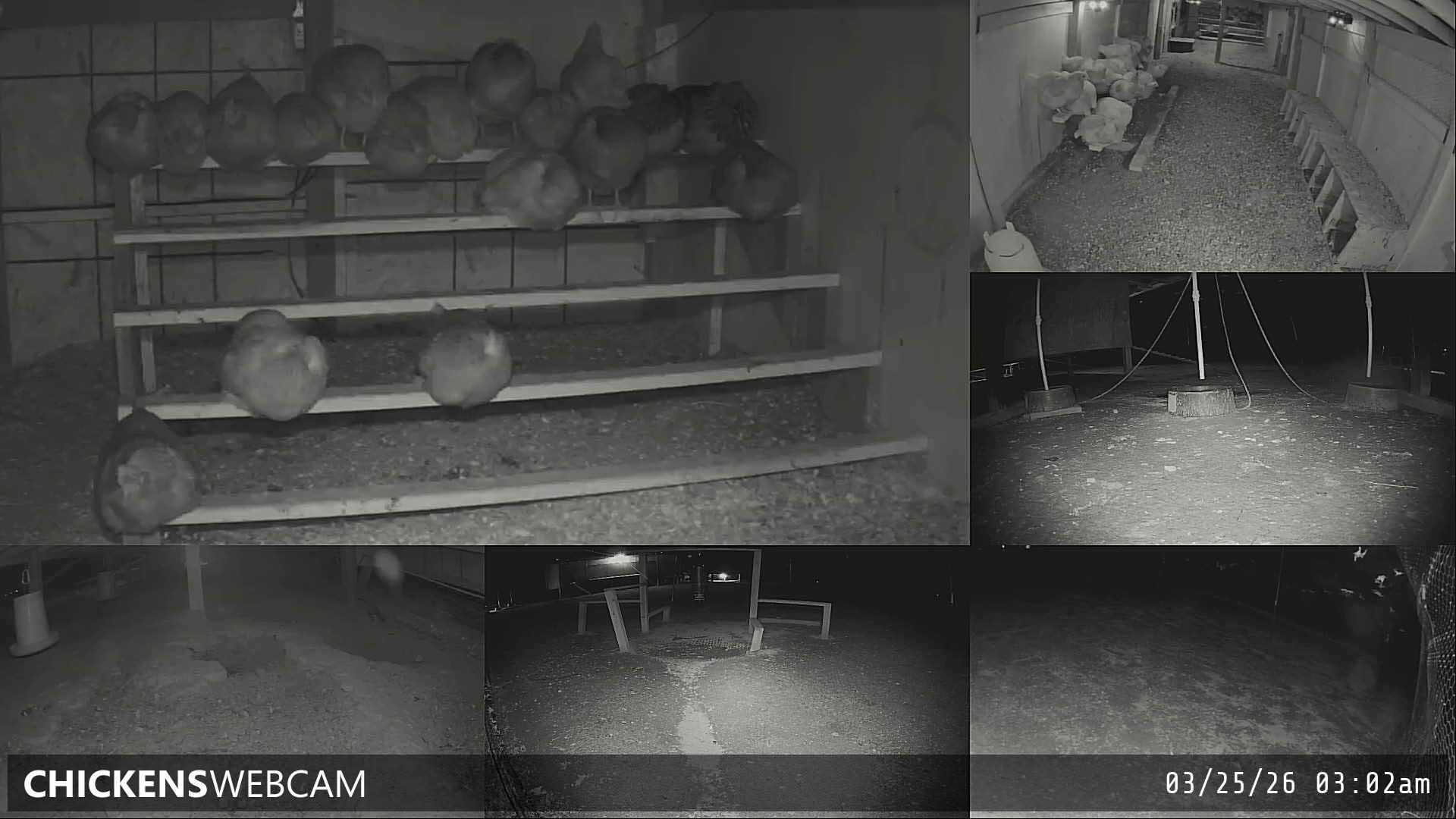 Twitch Stream Preview