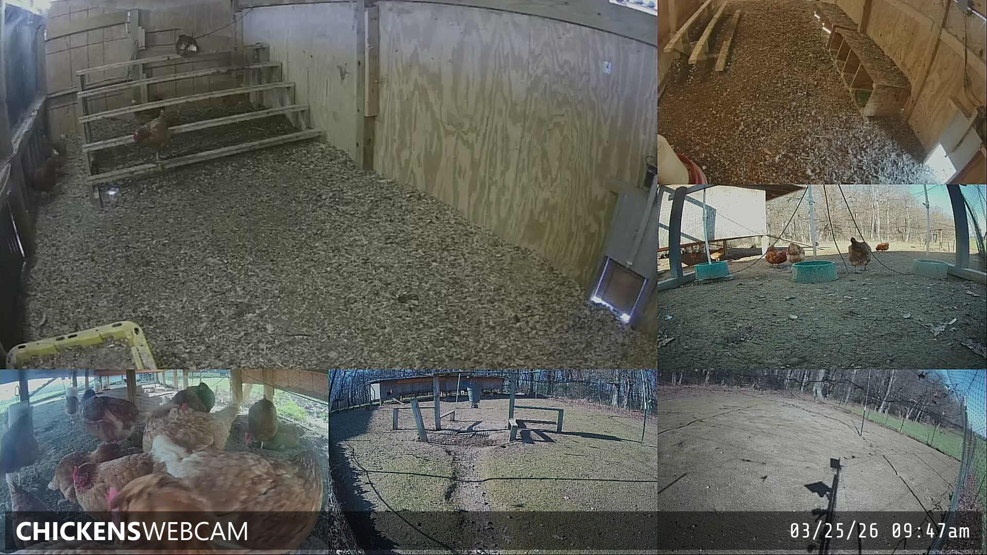 Twitch Stream Preview