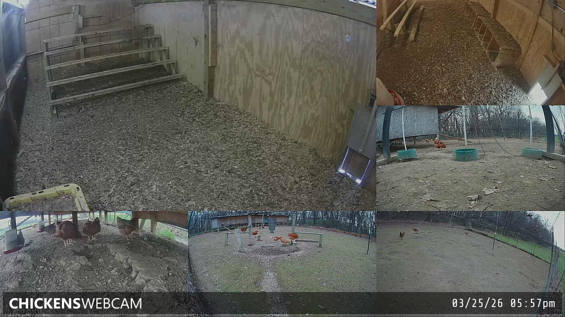 Twitch Stream Preview