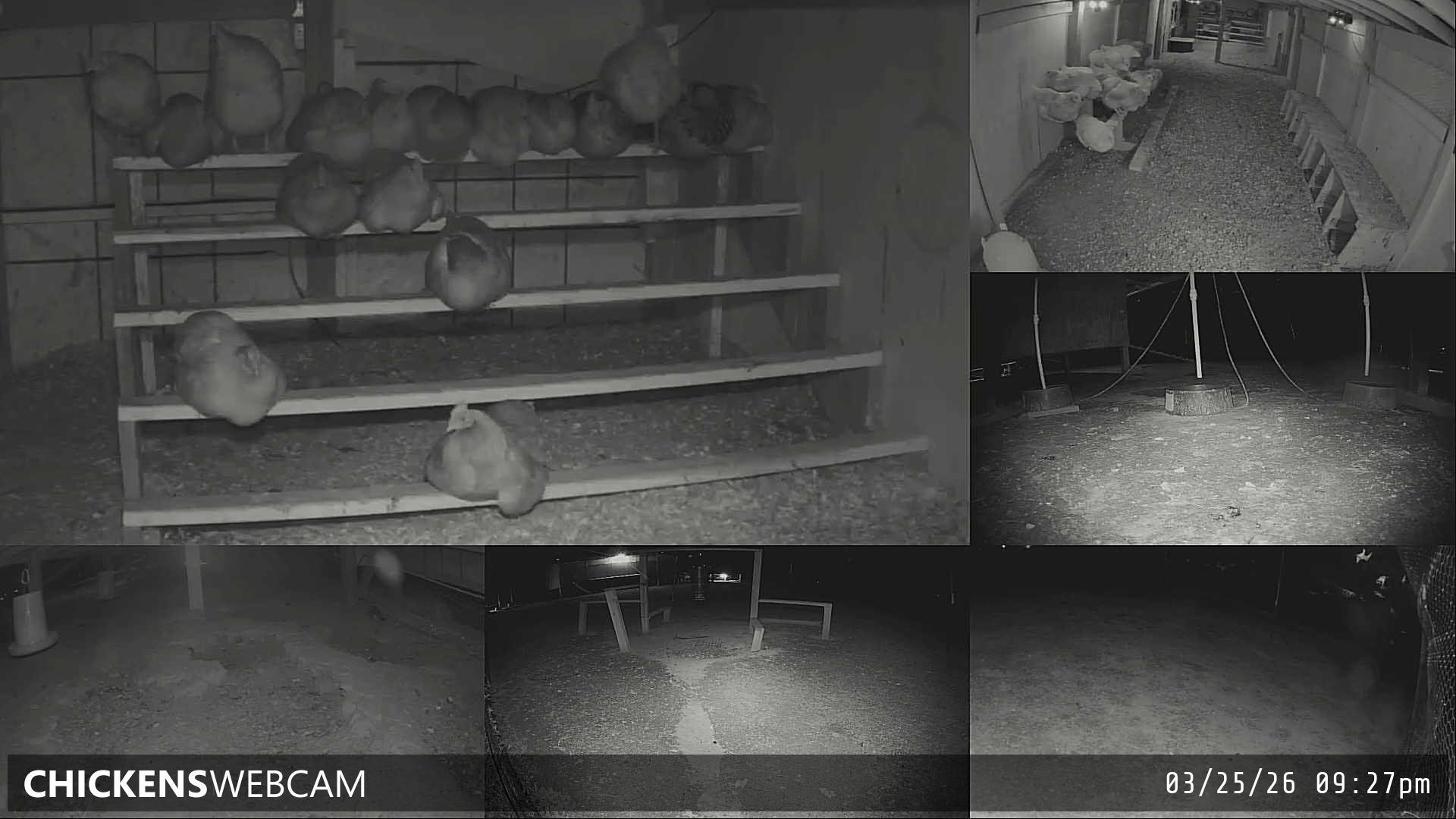 Twitch Stream Preview