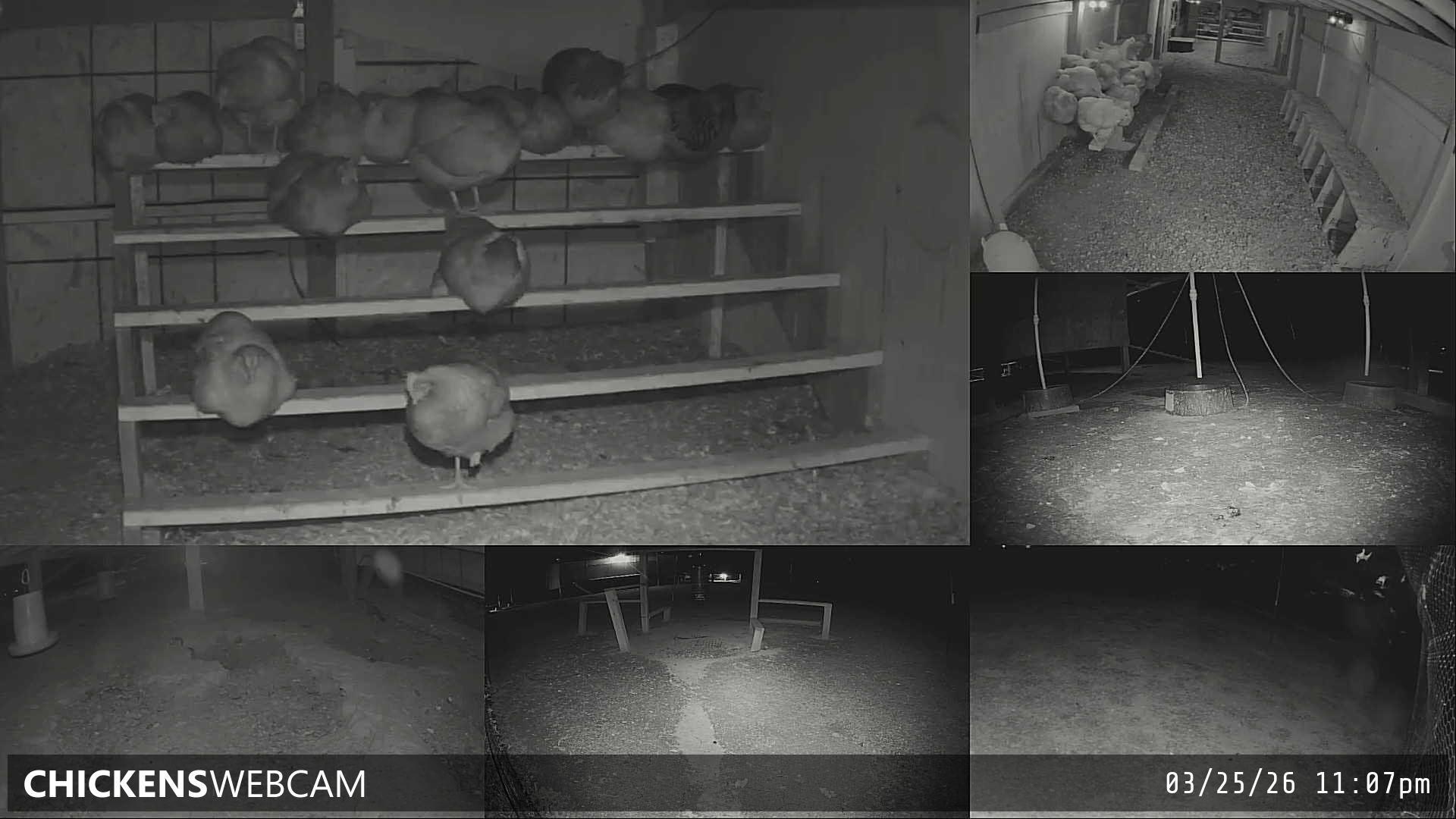 Twitch Stream Preview