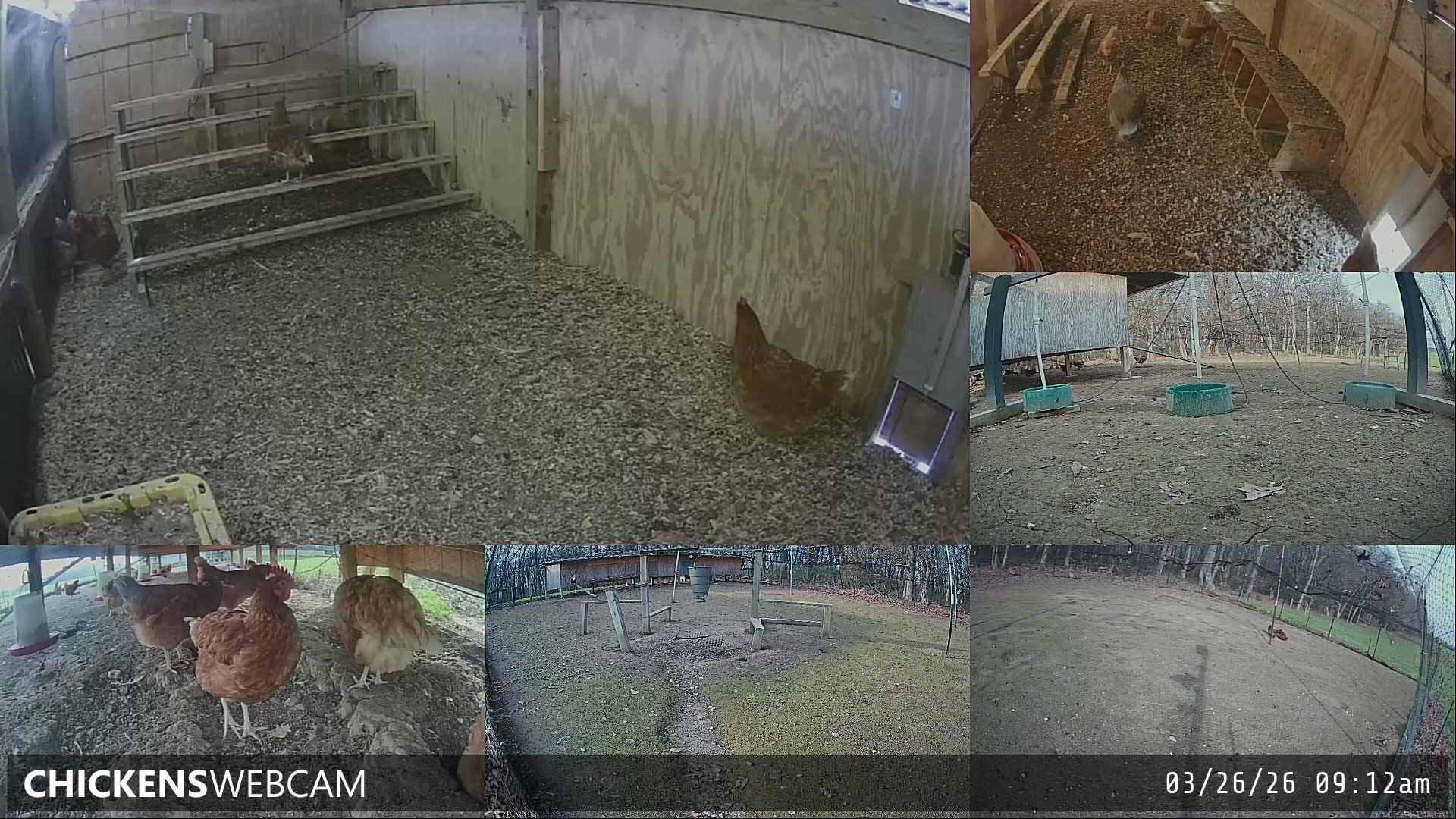 Twitch Stream Preview