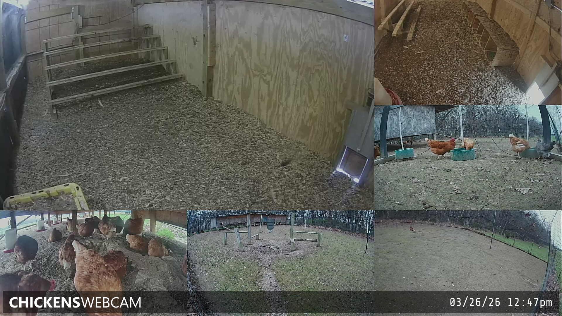 Twitch Stream Preview