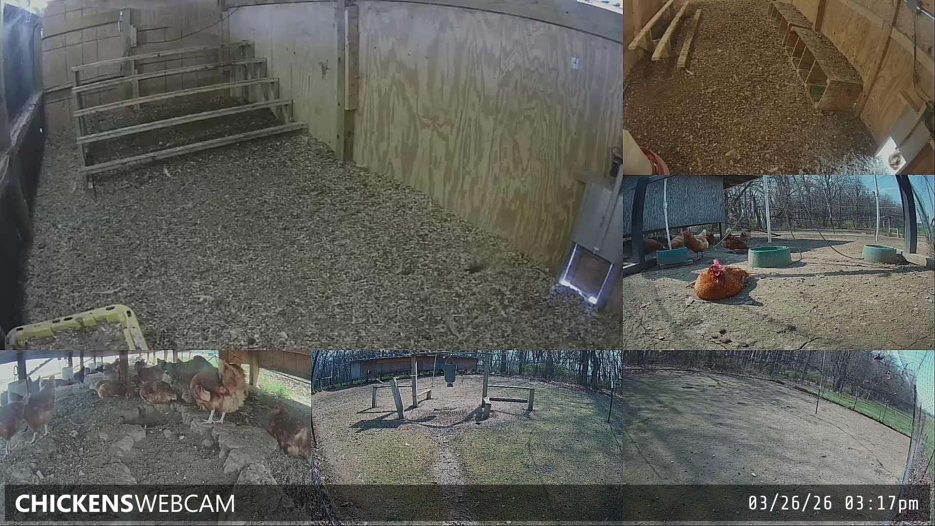 Twitch Stream Preview