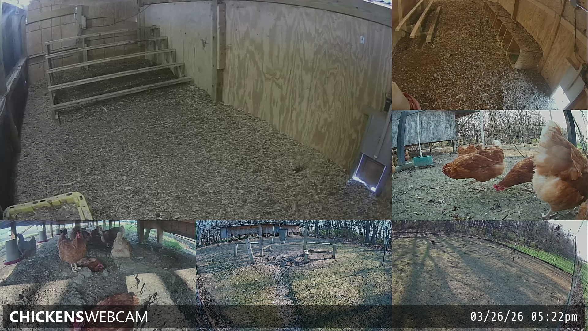 Twitch Stream Preview