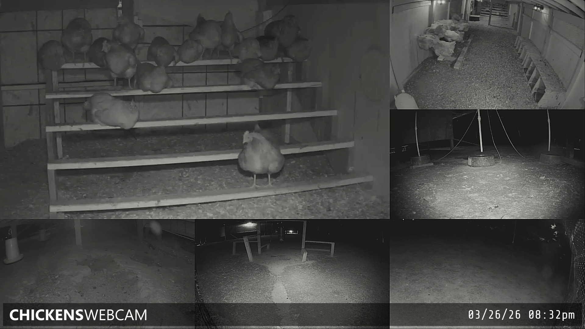 Twitch Stream Preview