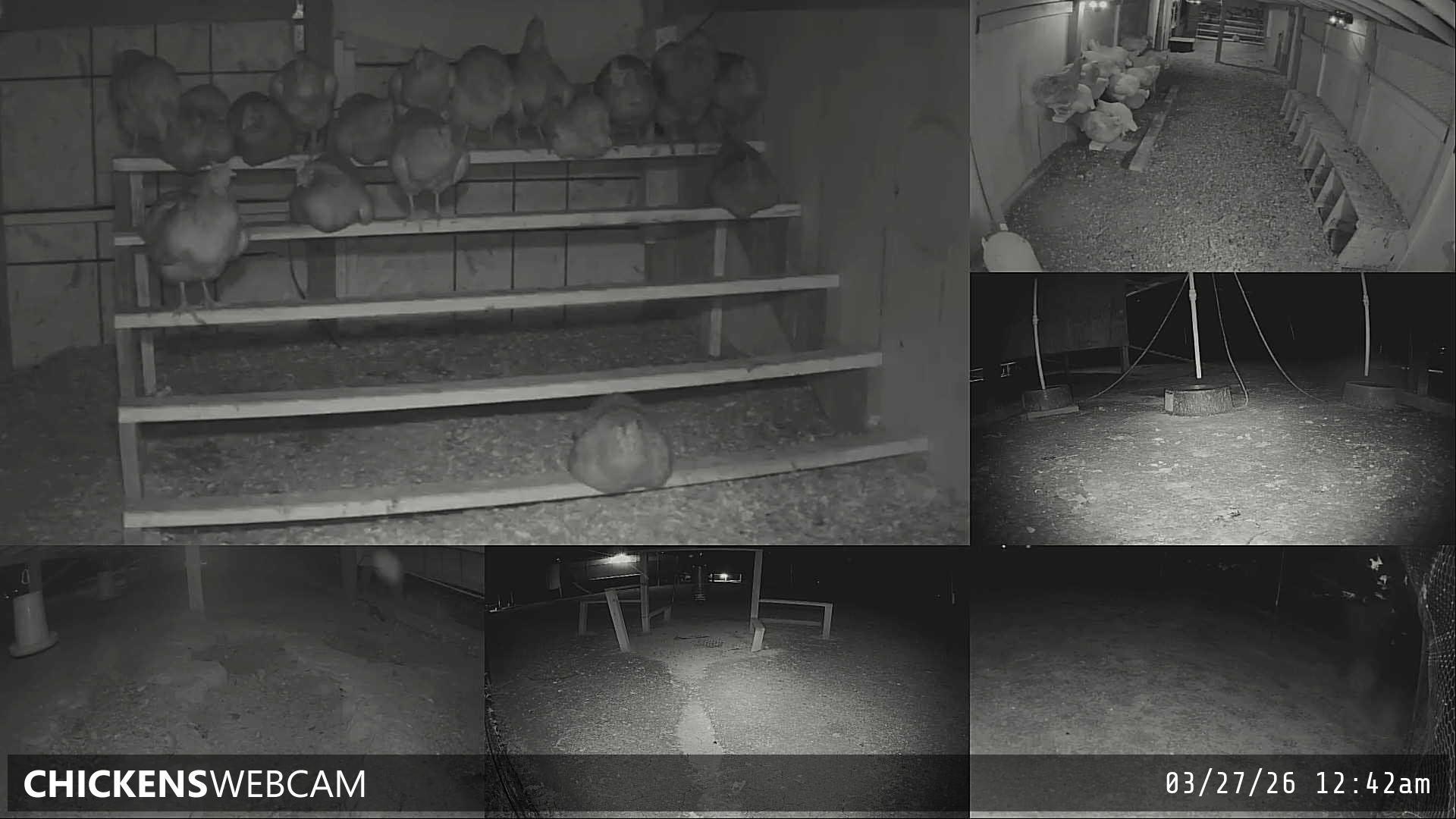 Twitch Stream Preview