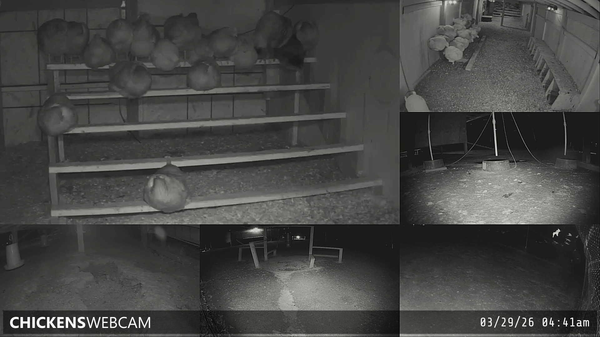 Twitch Stream Preview