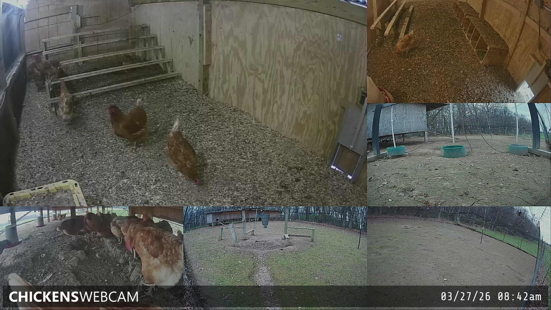 Twitch Stream Preview