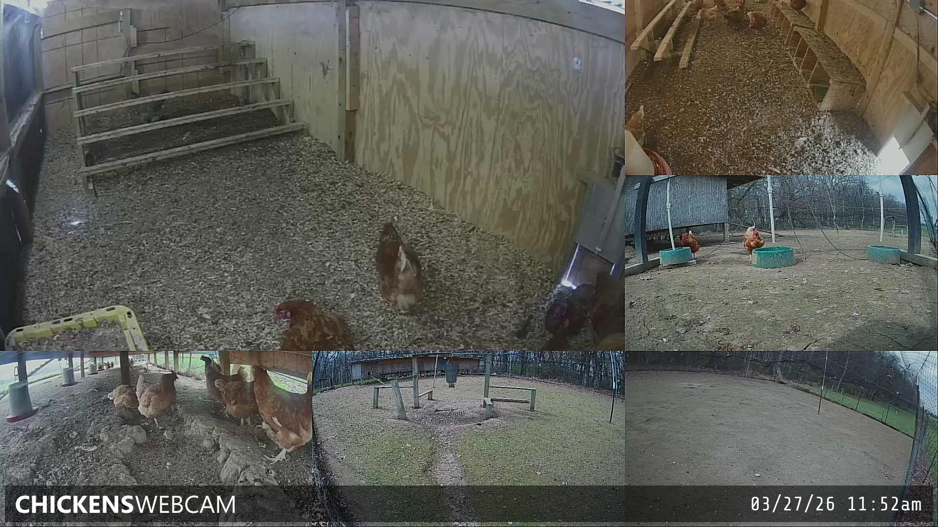 Twitch Stream Preview