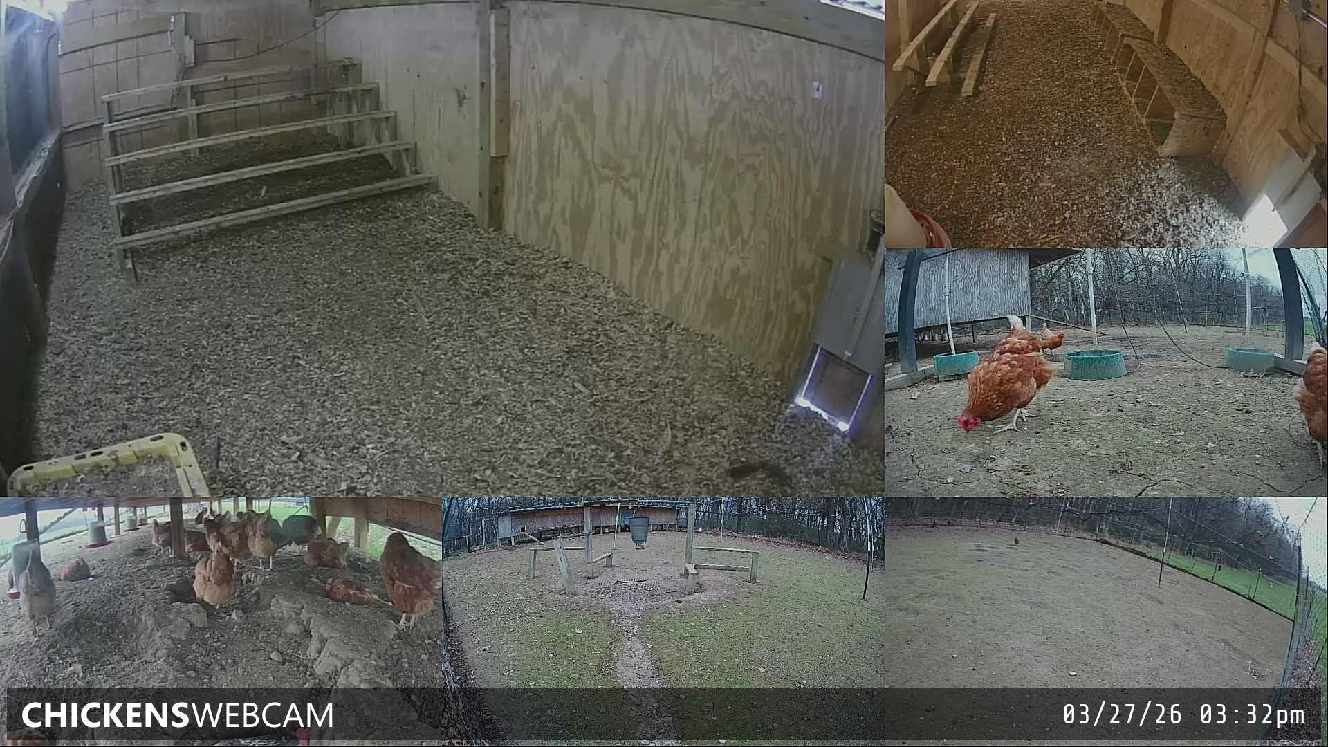 Twitch Stream Preview