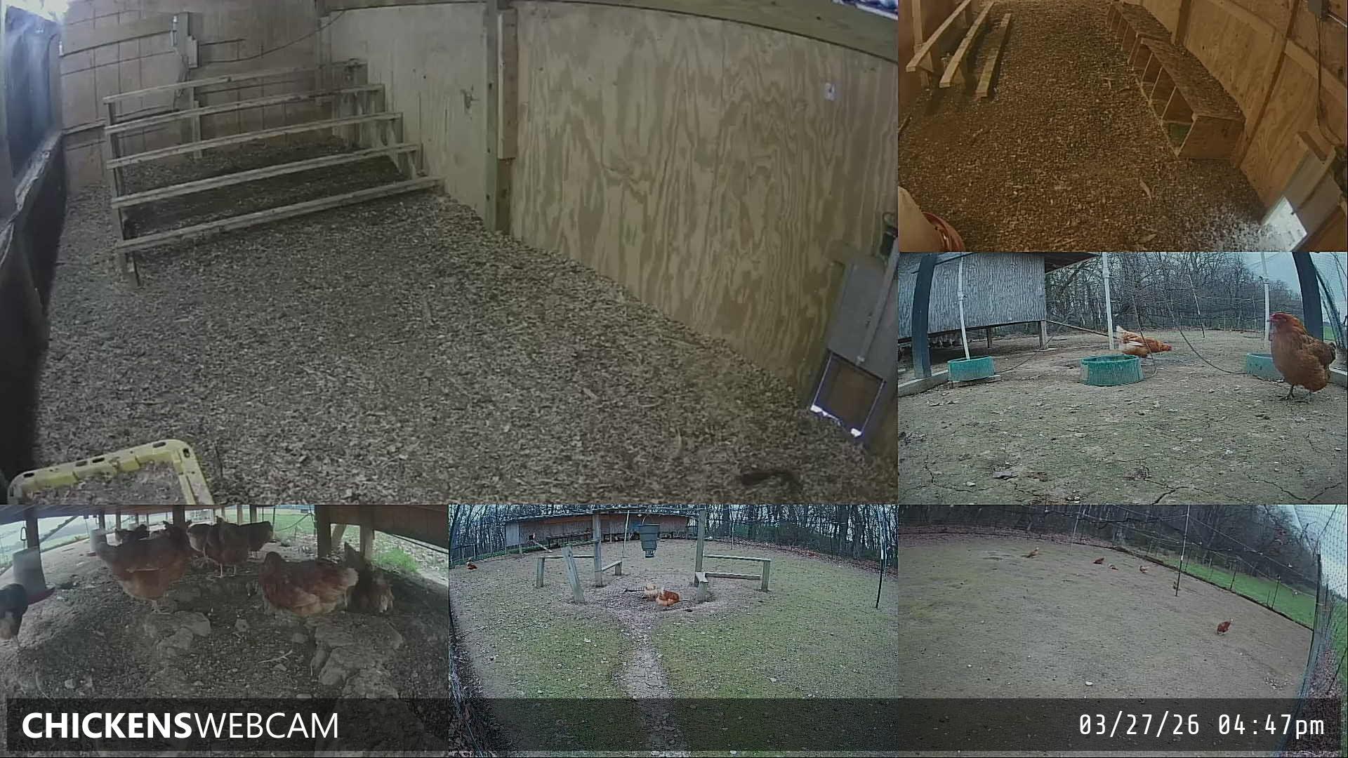 Twitch Stream Preview