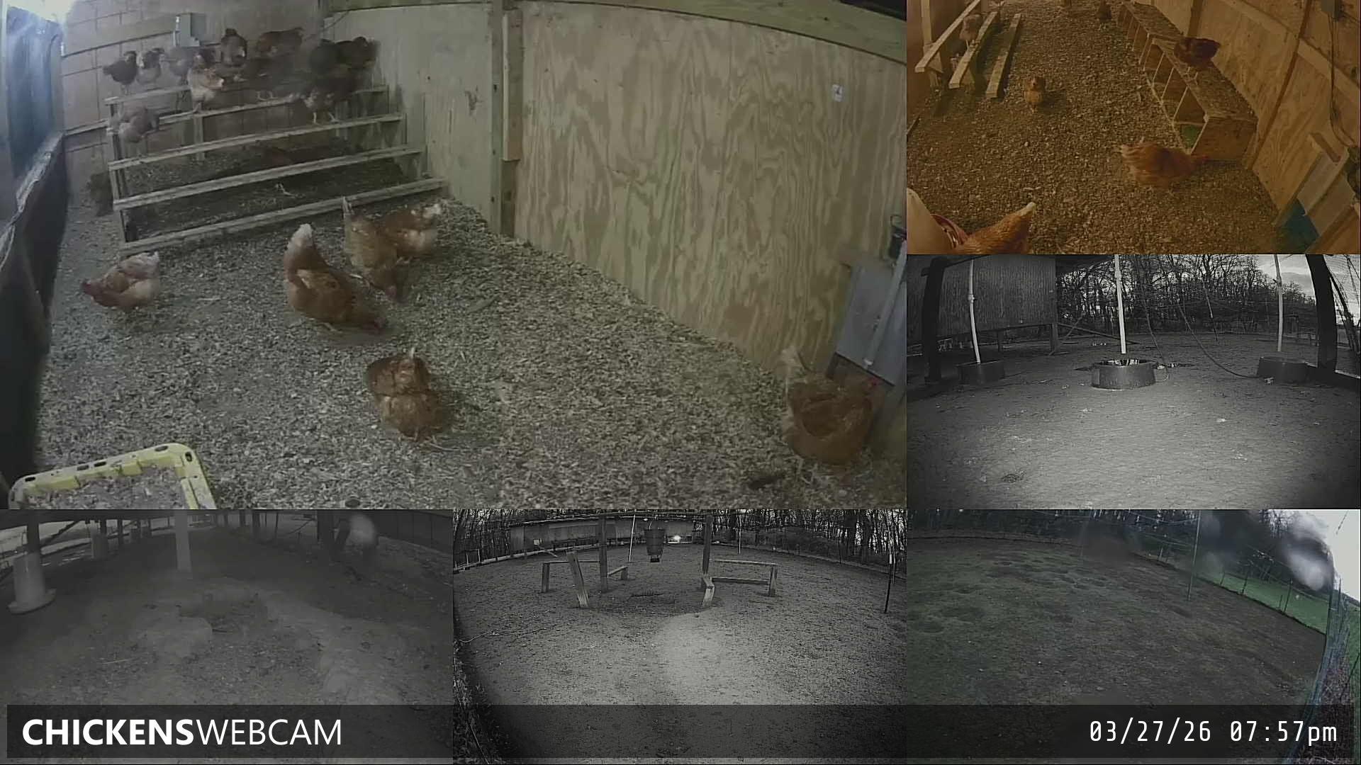 Twitch Stream Preview