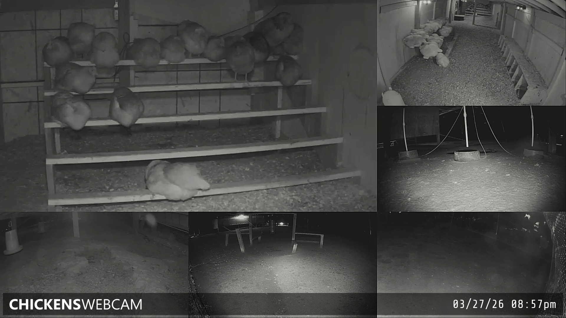 Twitch Stream Preview