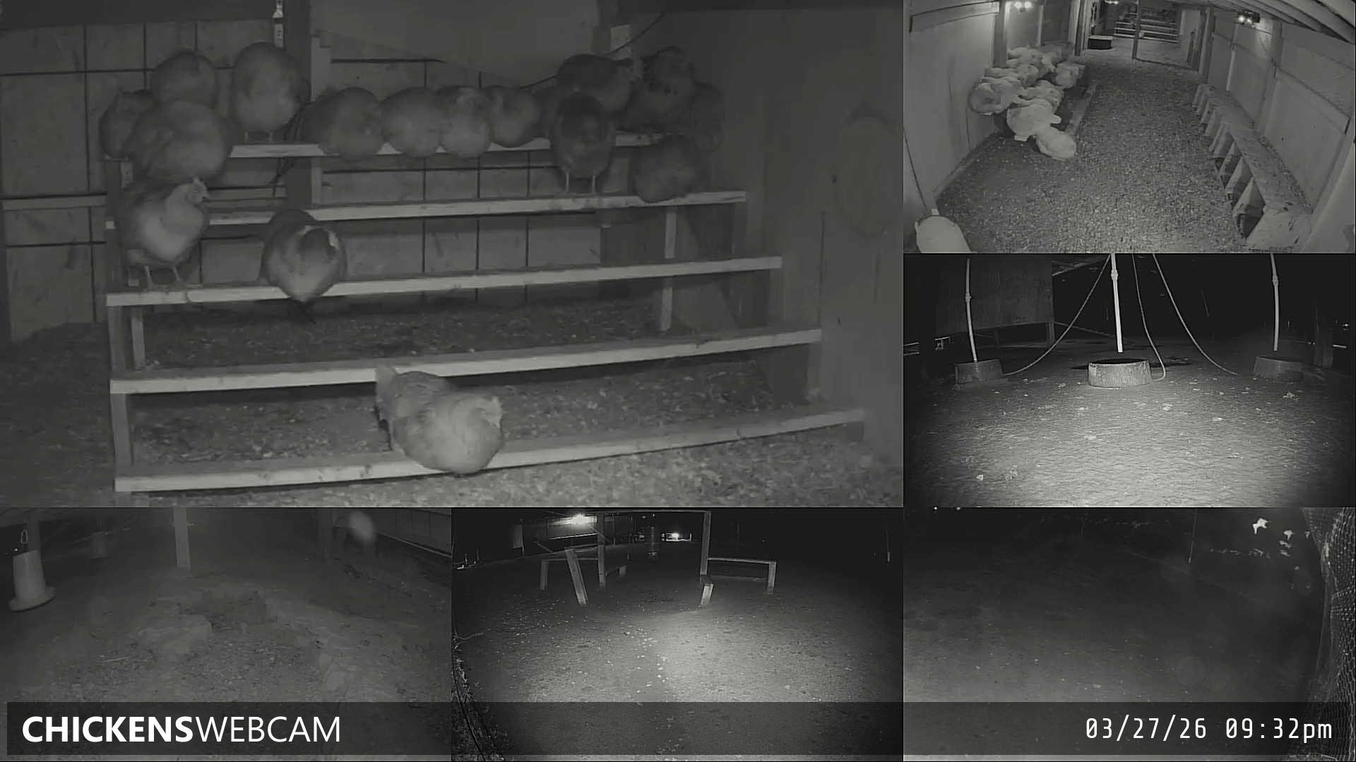 Twitch Stream Preview