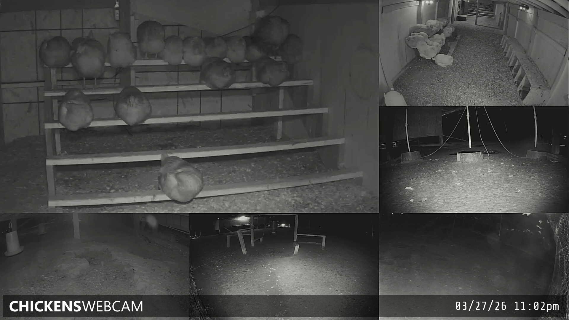 Twitch Stream Preview