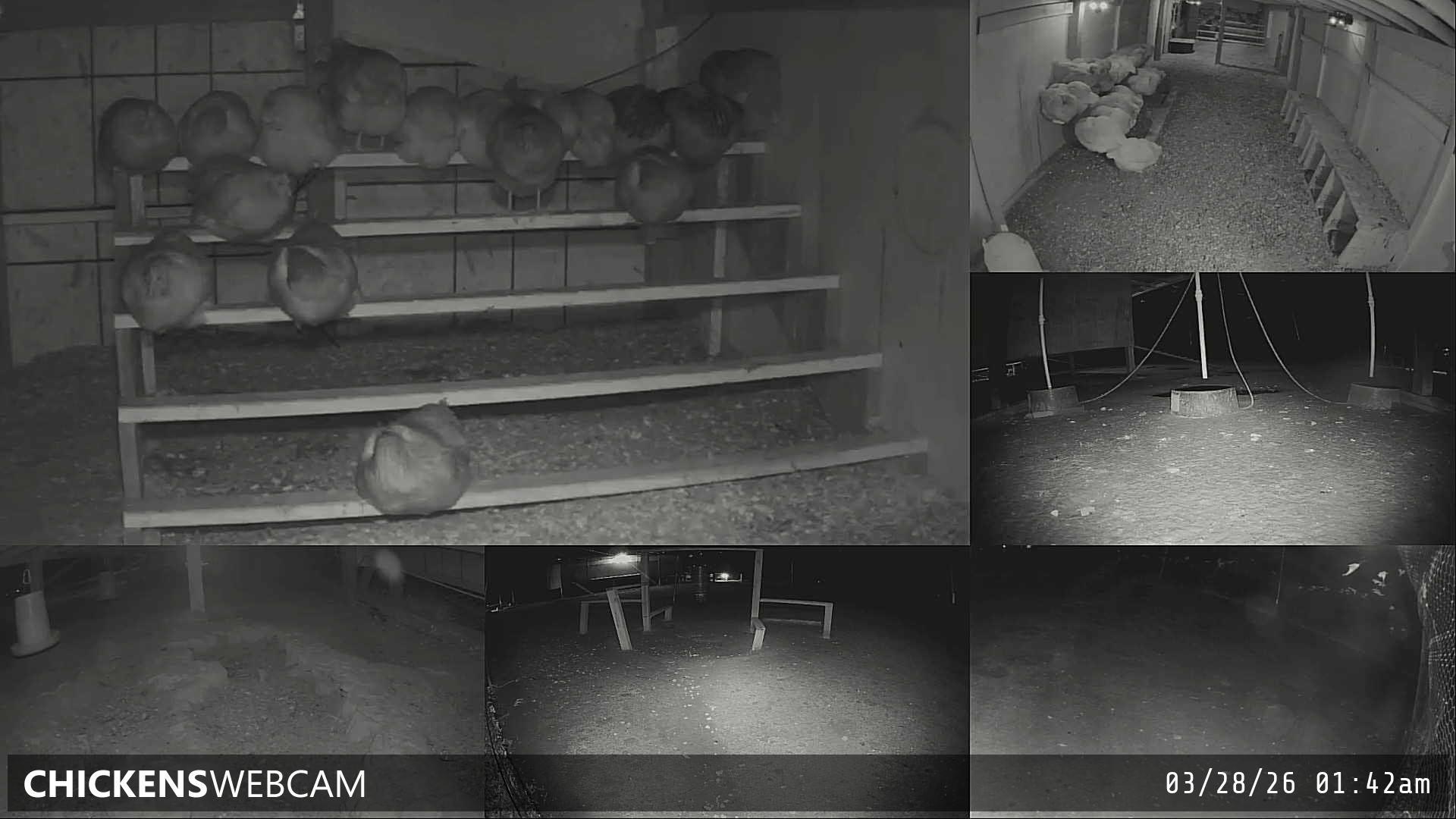 Twitch Stream Preview