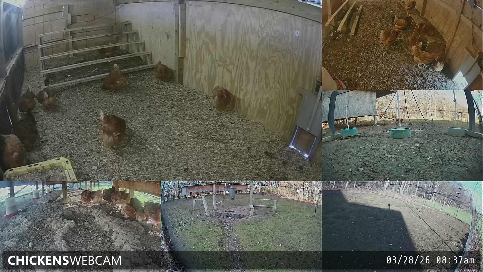 Twitch Stream Preview