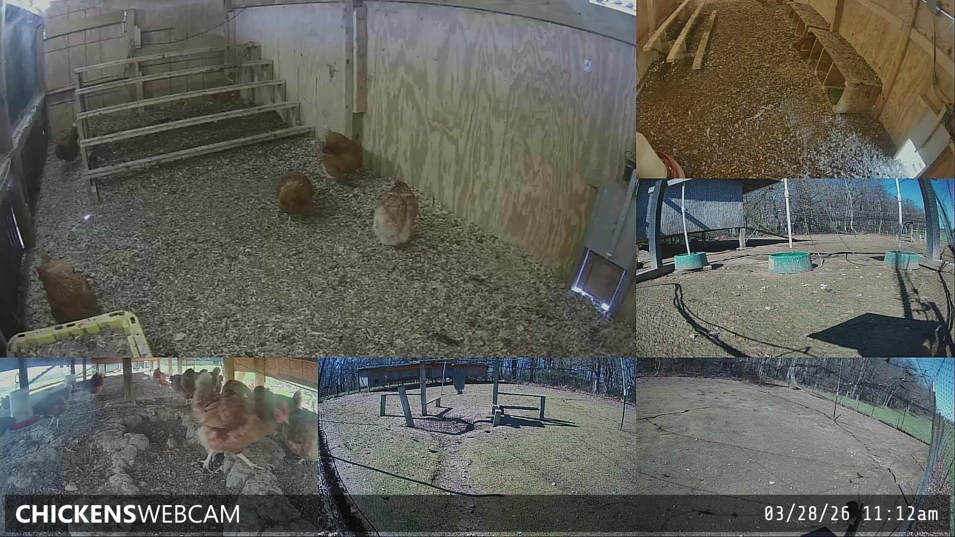 Twitch Stream Preview