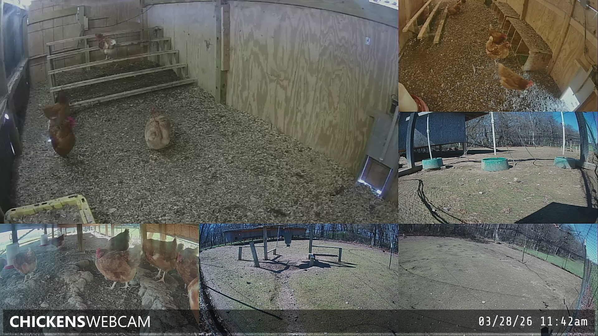 Twitch Stream Preview