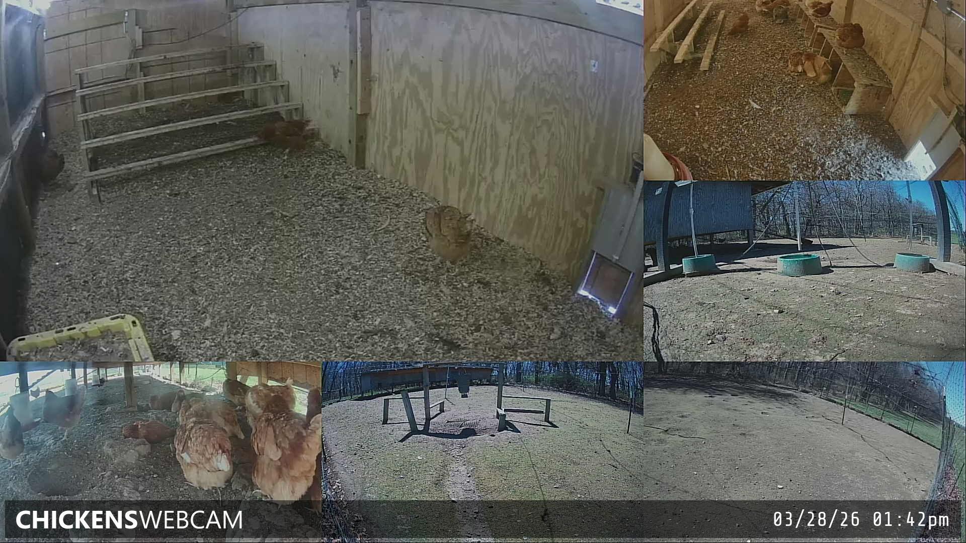 Twitch Stream Preview