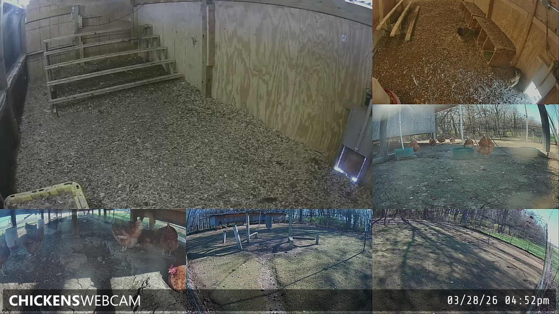 Twitch Stream Preview