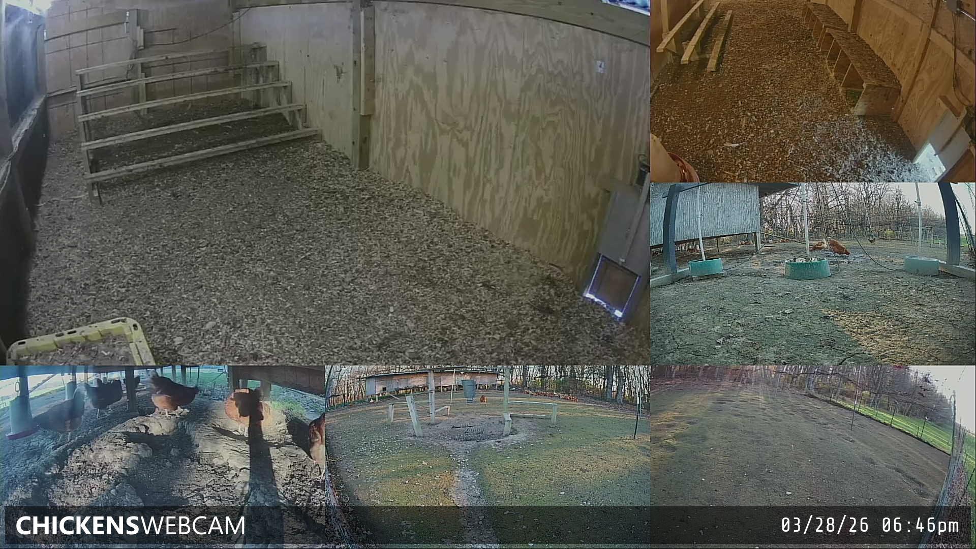 Twitch Stream Preview