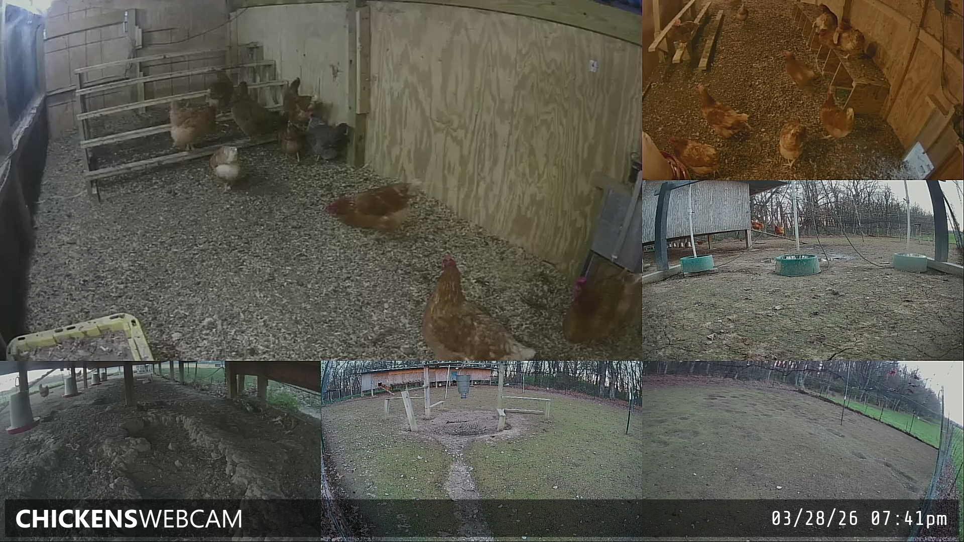 Twitch Stream Preview