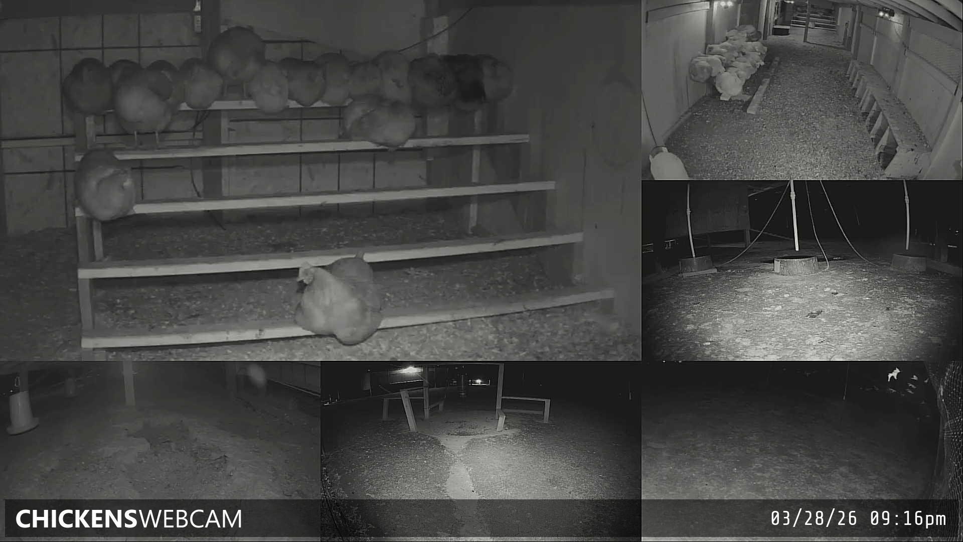 Twitch Stream Preview