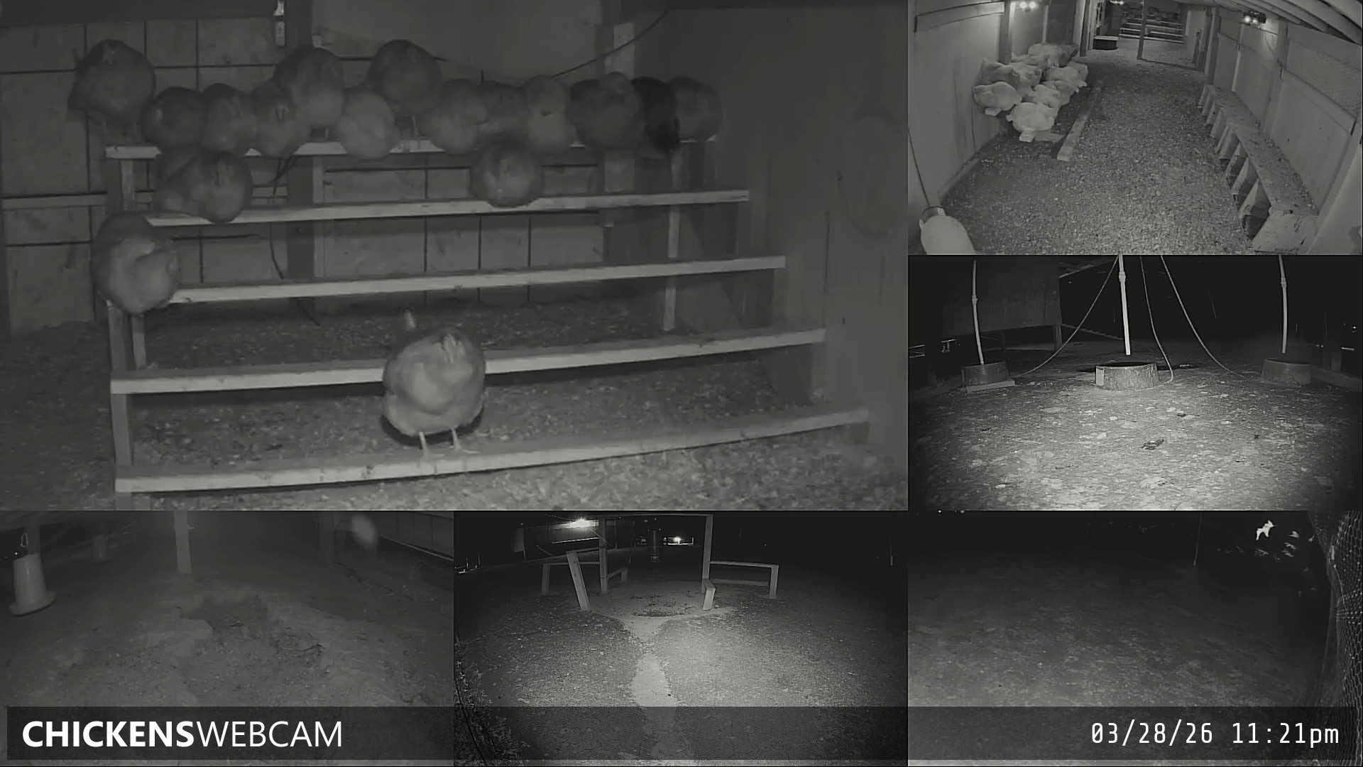 Twitch Stream Preview