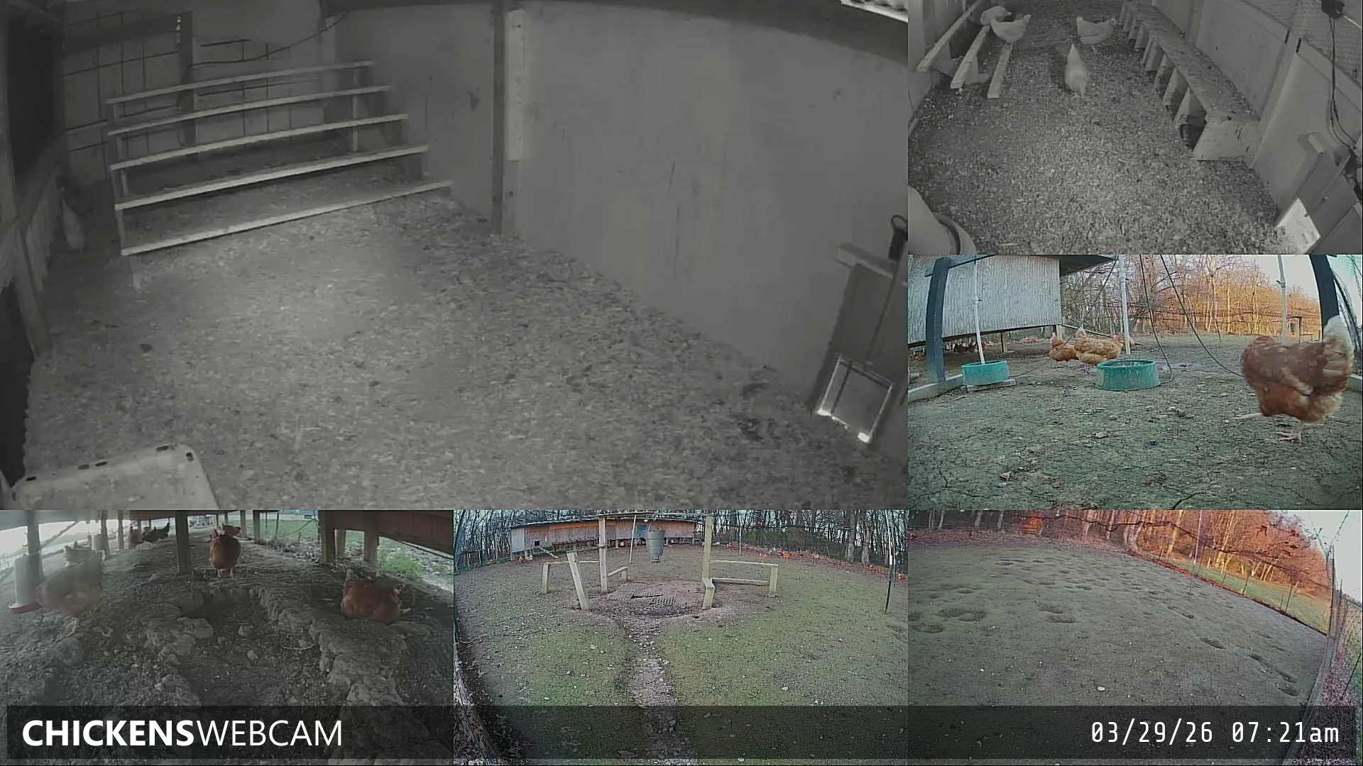 Twitch Stream Preview