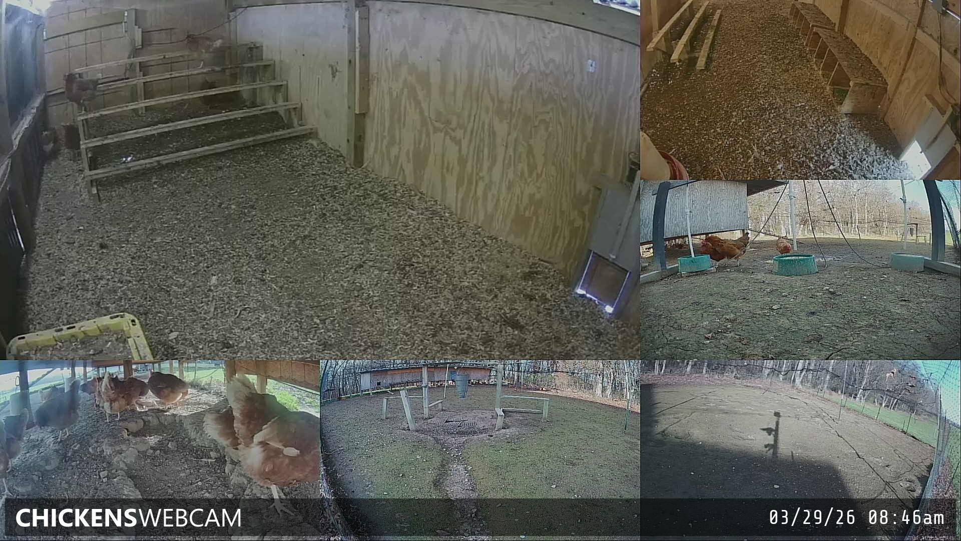 Twitch Stream Preview