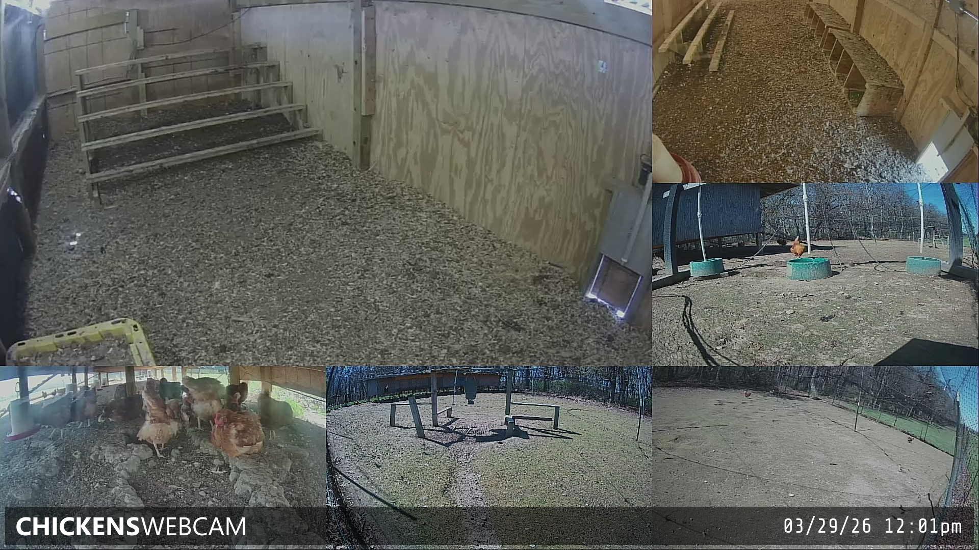 Twitch Stream Preview