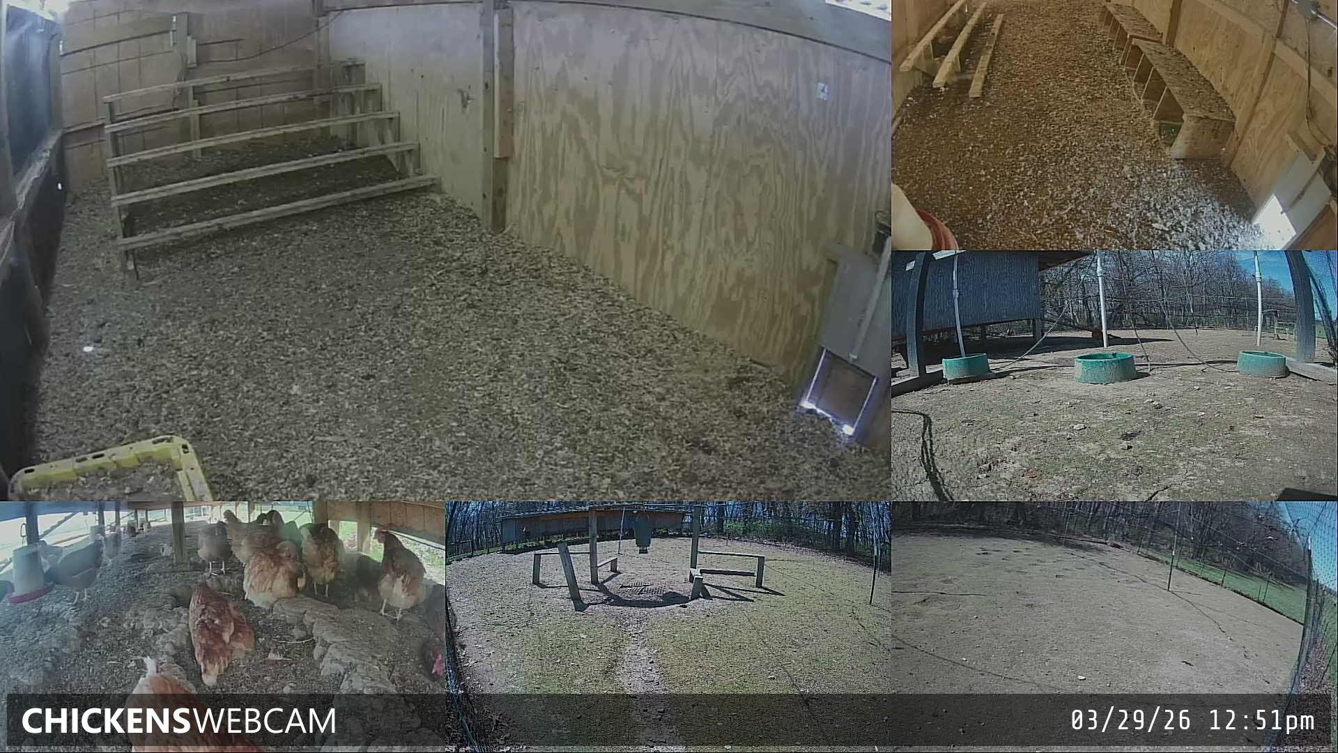 Twitch Stream Preview