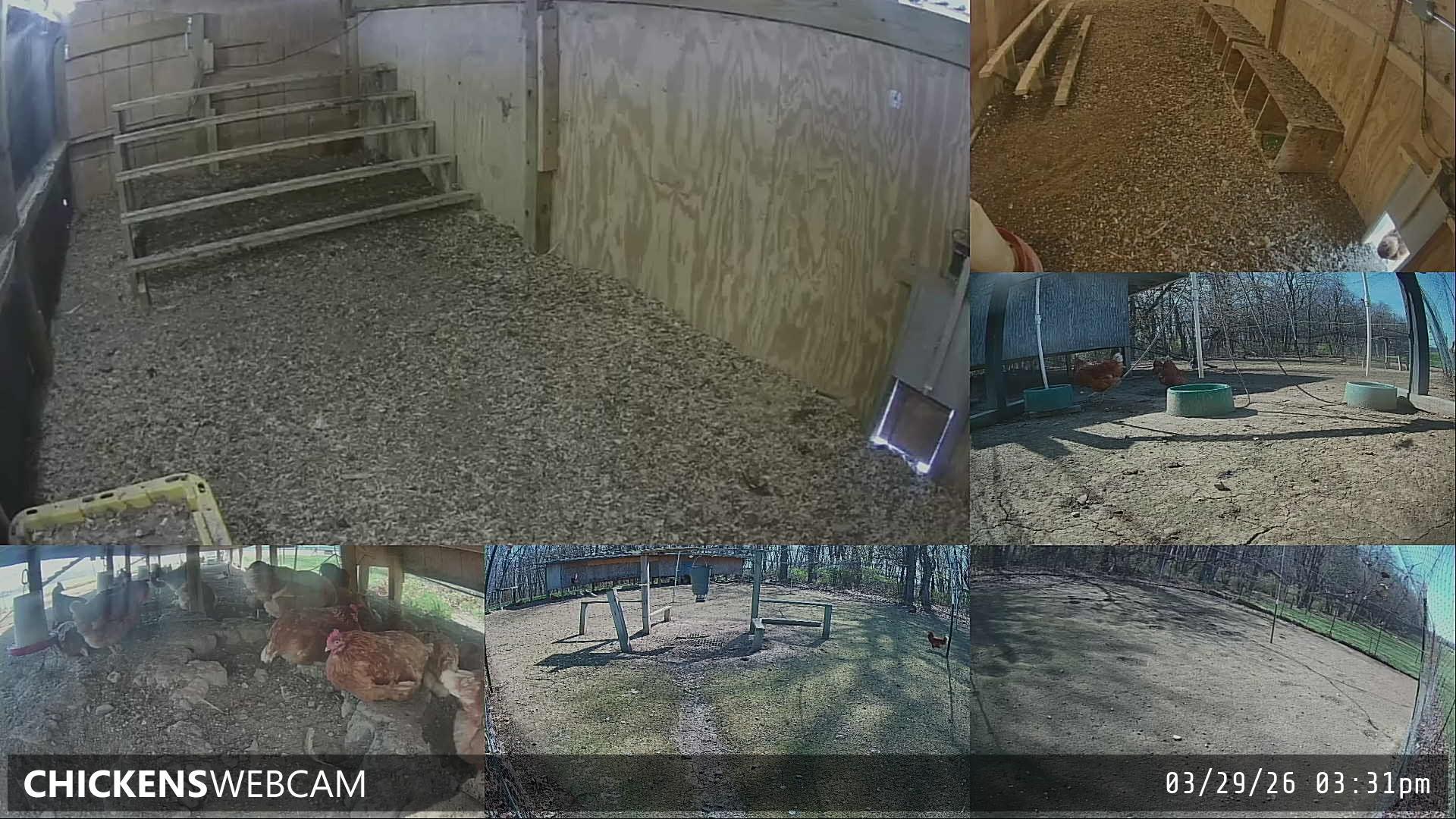 Twitch Stream Preview