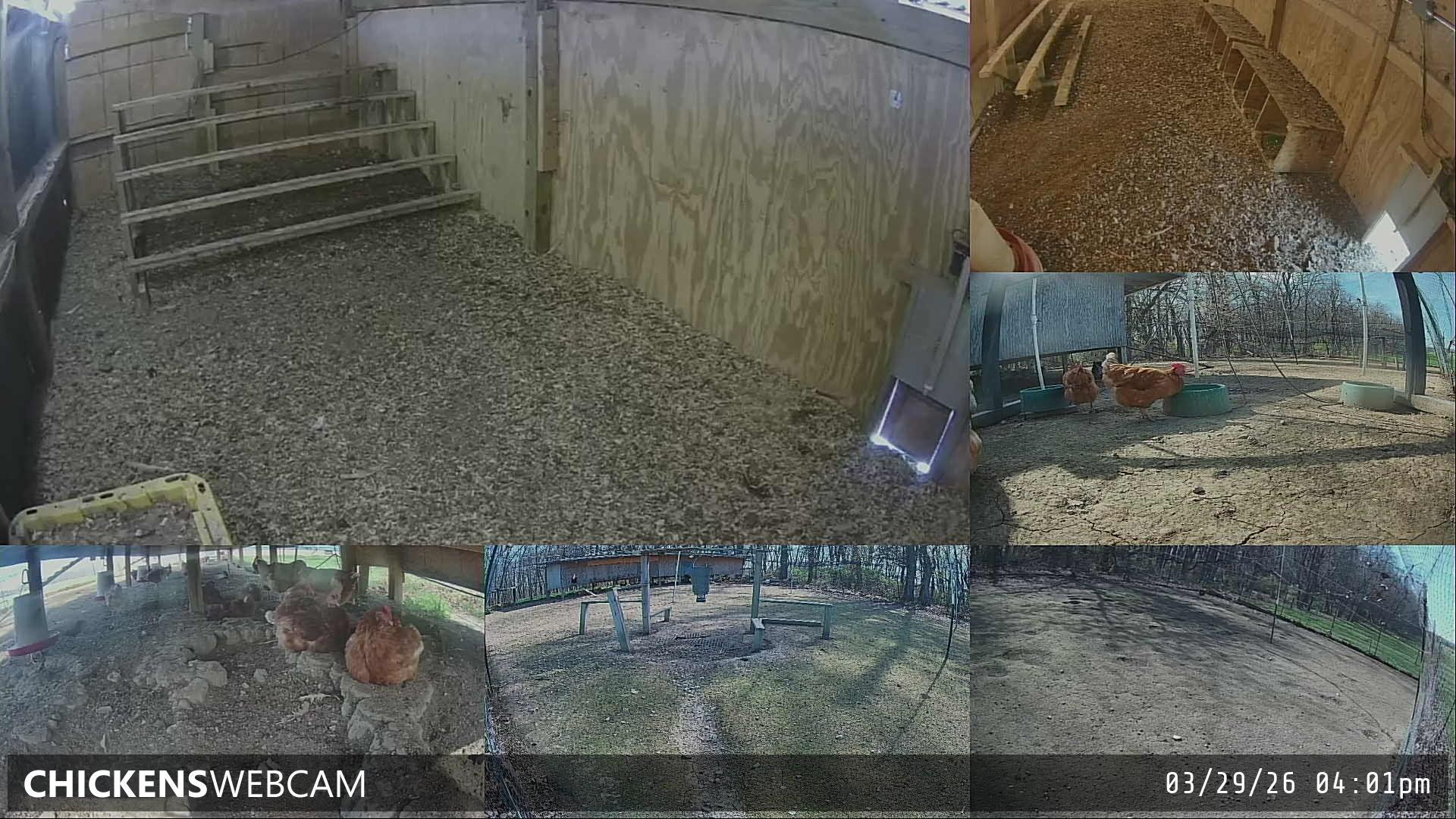 Twitch Stream Preview