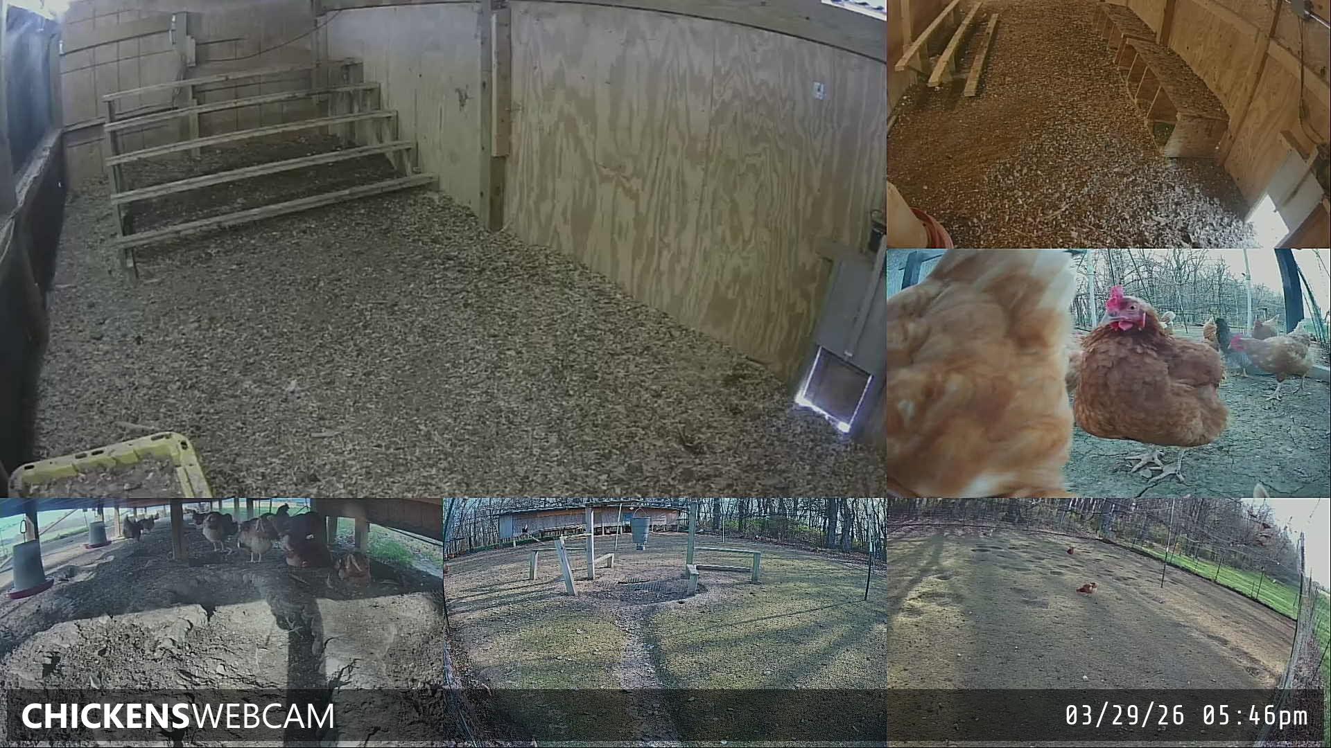 Twitch Stream Preview