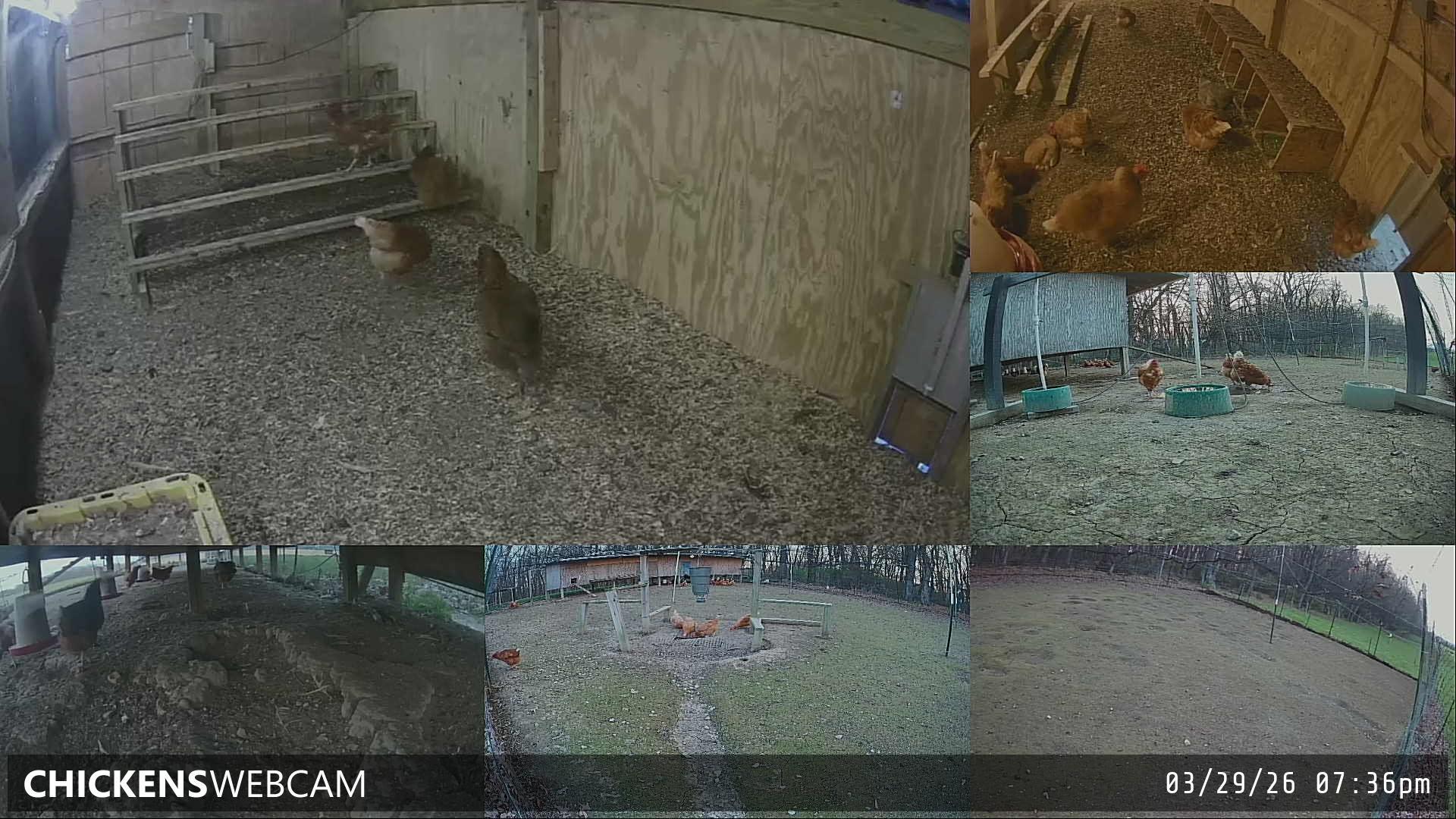 Twitch Stream Preview