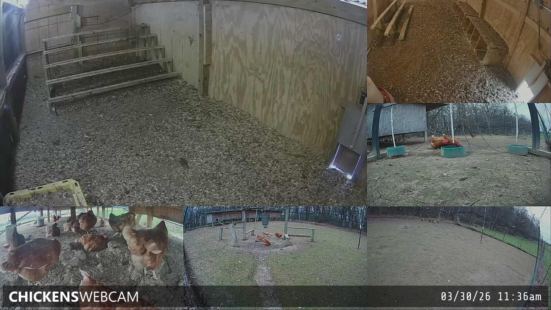 Twitch Stream Preview