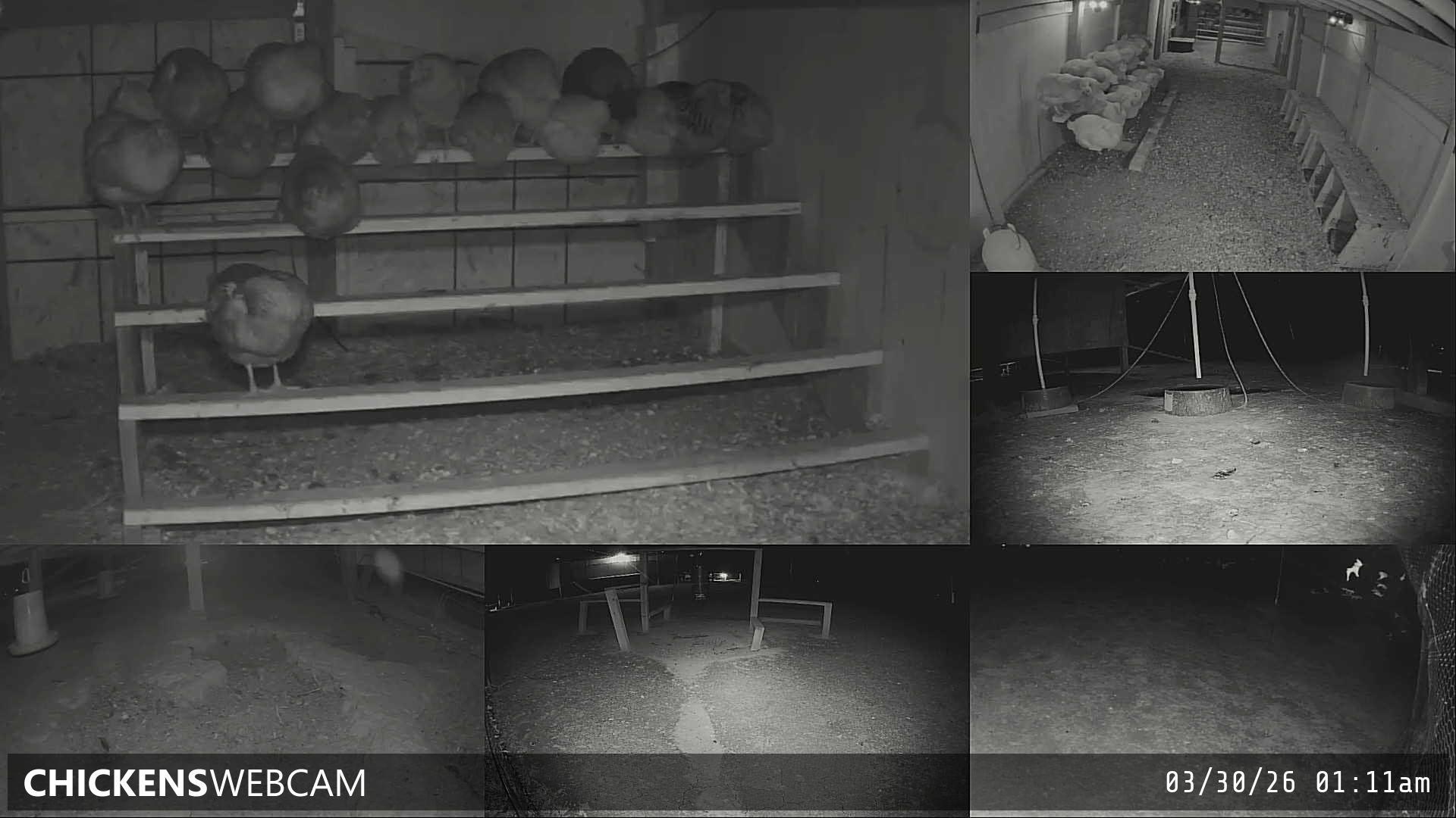 Twitch Stream Preview