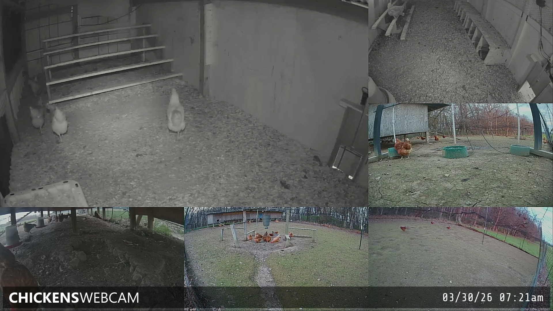 Twitch Stream Preview