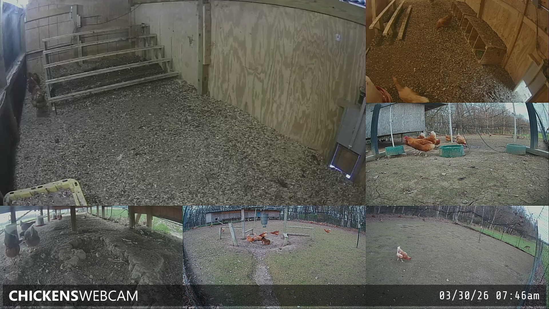 Twitch Stream Preview