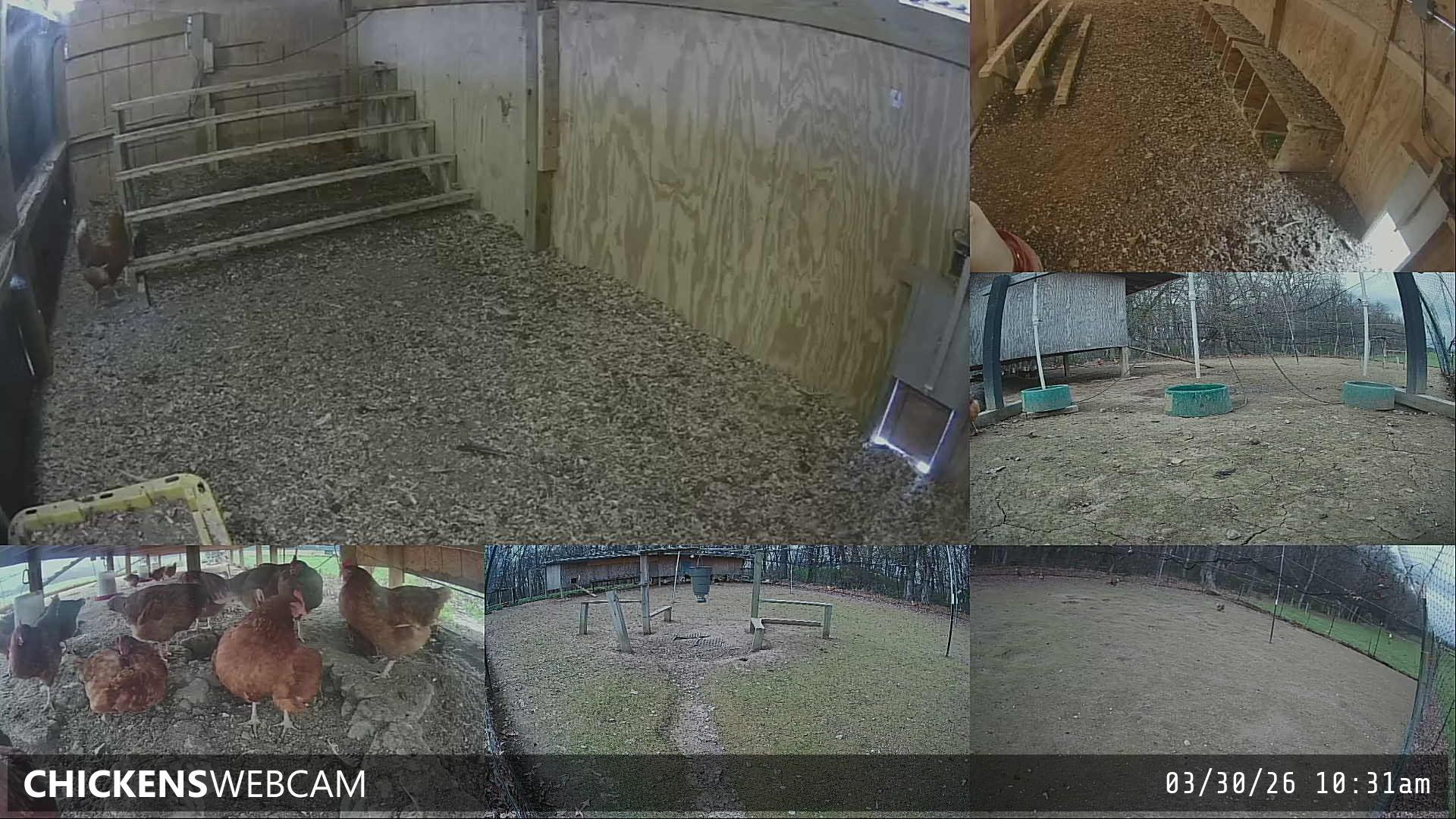 Twitch Stream Preview