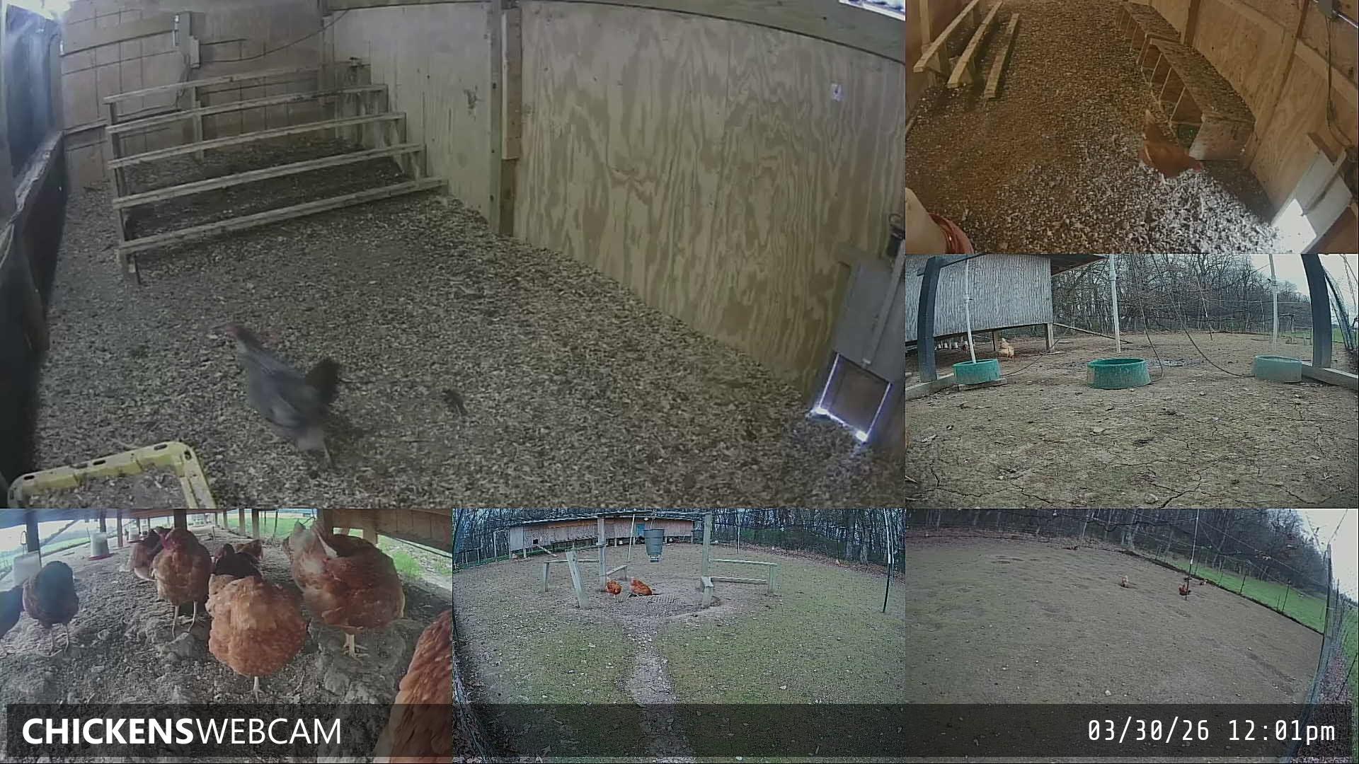 Twitch Stream Preview