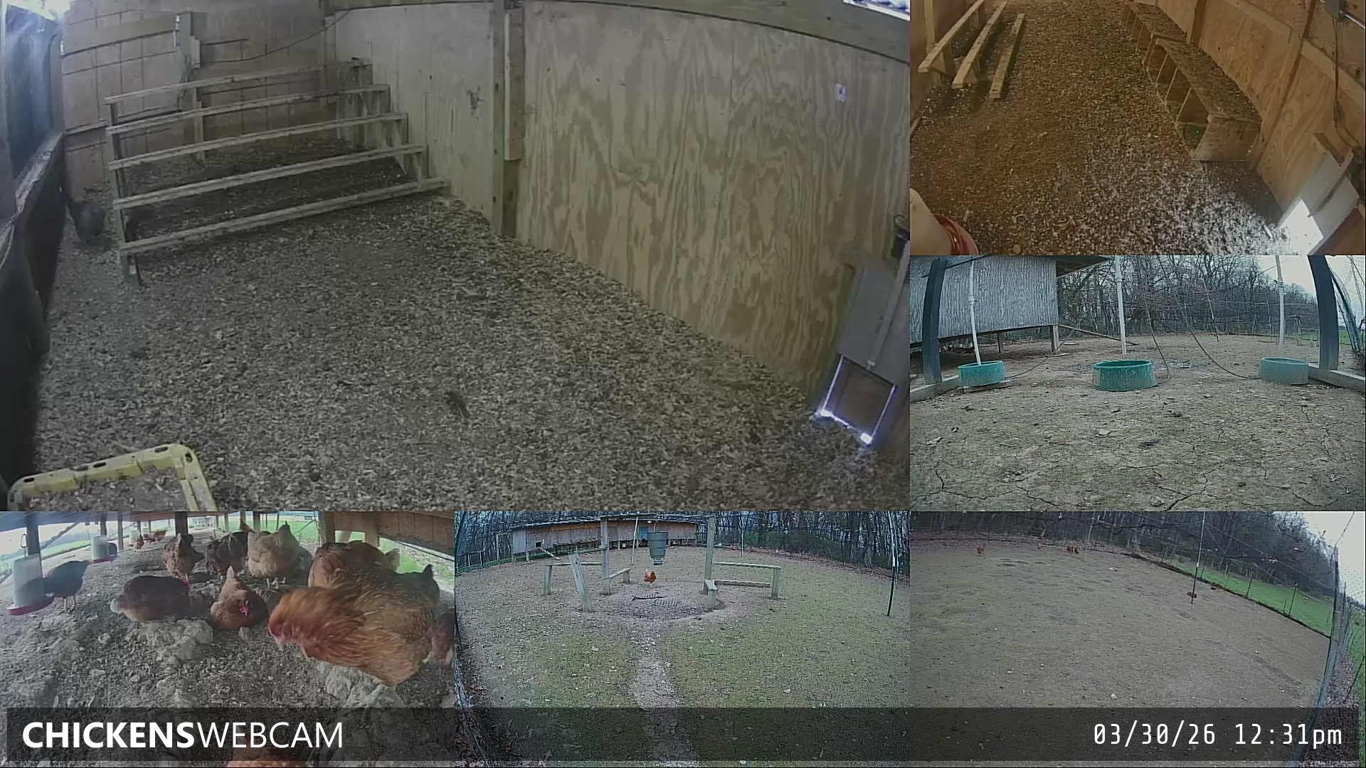 Twitch Stream Preview