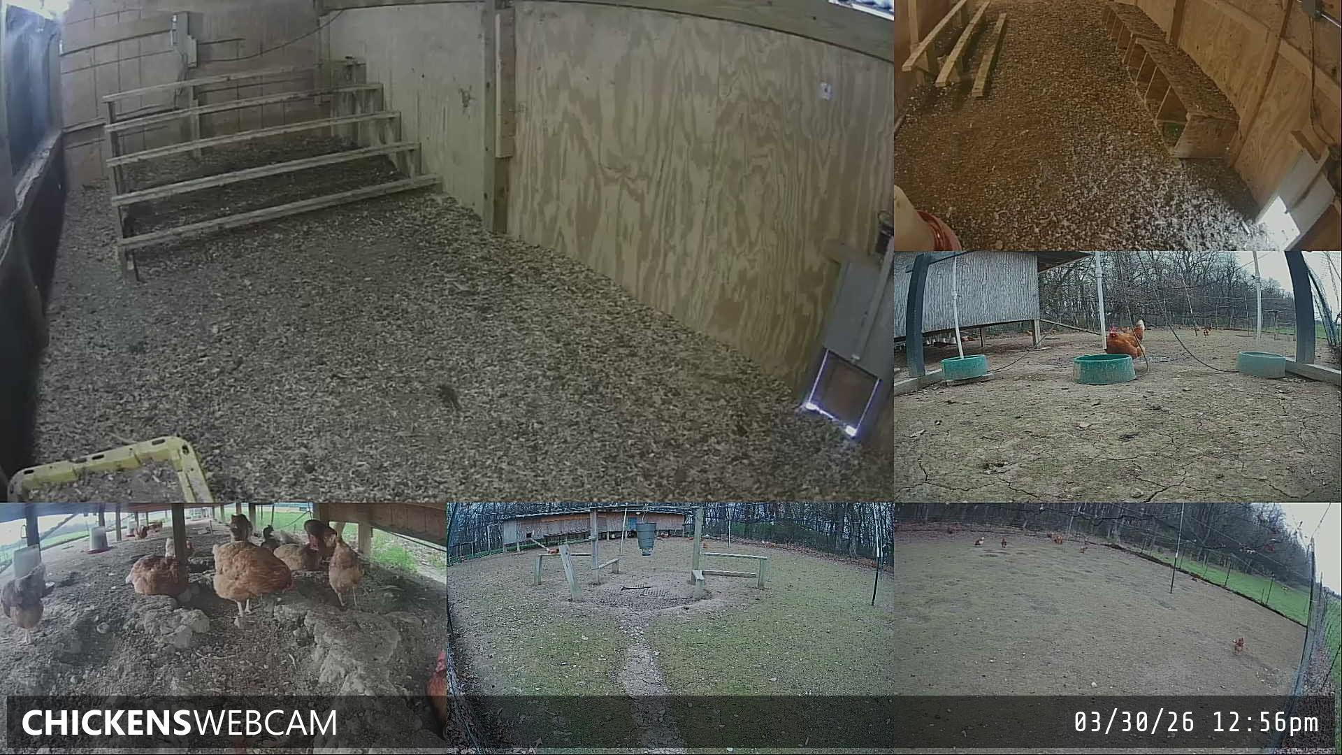 Twitch Stream Preview