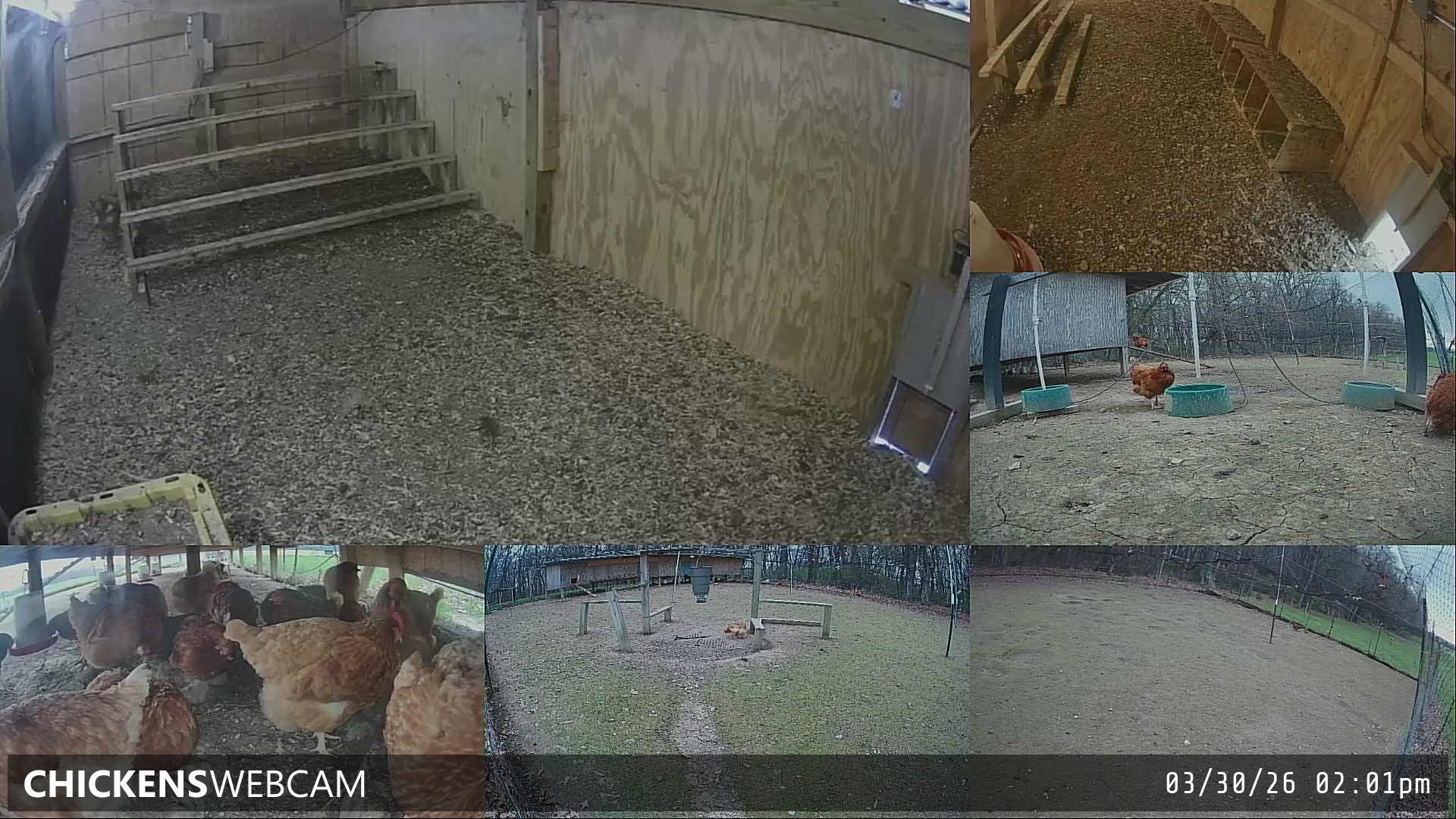 Twitch Stream Preview