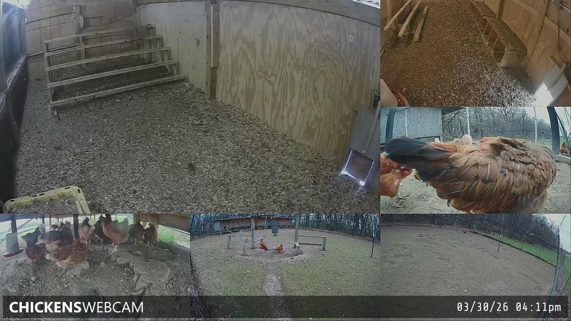 Twitch Stream Preview